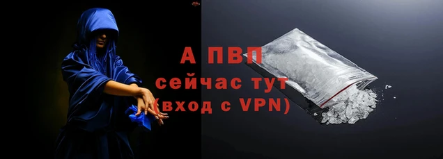 спиды Зерноград