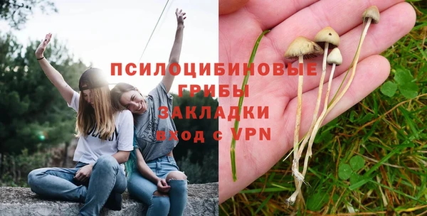 а пвп мука Зеленодольск