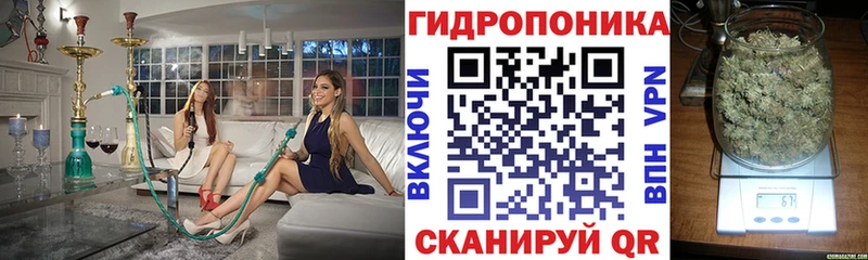 Марихуана сатива  дарк нет клад  Ишимбай 